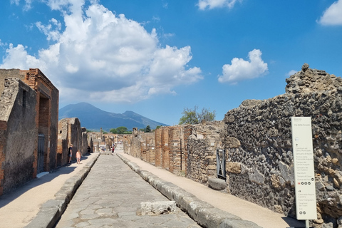 Pompeii: History and Culture Slow Tour