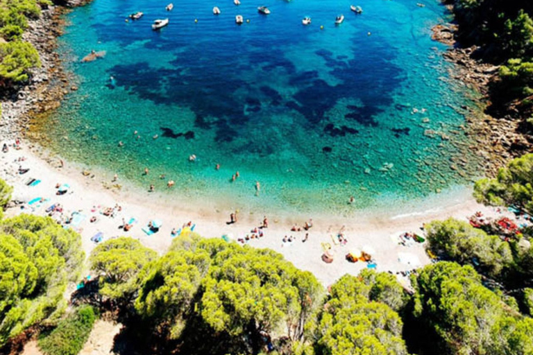From Roses: Cap Norfeu and Tamariu Cave Boat TourFrån Roses: SWIM Cap Norfeu och båttur i Tamariu-grottan