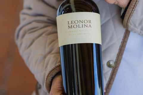 Salta: 2 Wineries and Cheese Factory Tour with Tastings