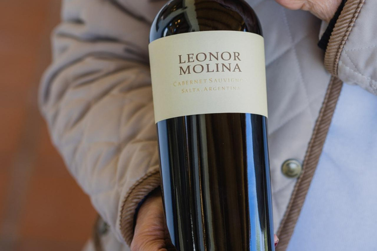 Salta: 2 Wineries and Cheese Factory Tour with Tastings