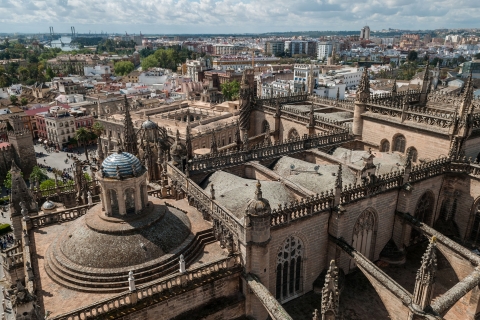Z Malagi: prywatna wycieczka do Sewilli, Alcazaru i katedryZ Malagi: Prywatna całodniowa wycieczka do Sewilli z katedrą