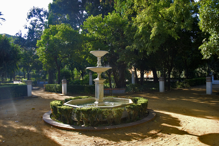 Au départ de Malaga : excursion privée d'une journée à Séville, l'Alcazar et la cathédraleDe Malaga: excursion privée d'une journée à Séville avec la cathédrale