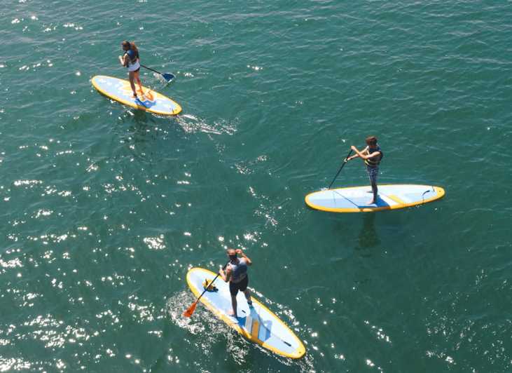 Austin: Lady Bird Lake Stand-Up Paddleboard Rental | GetYourGuide