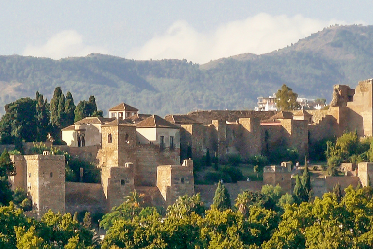 Malaga: Tapas Guided Walking Tour with Food Tastings