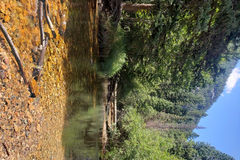 Parc national des Rocheuses : visite avec pique-niqueTournée été-automne