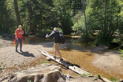 Parc national des Rocheuses : visite avec pique-niqueTournée été-automne