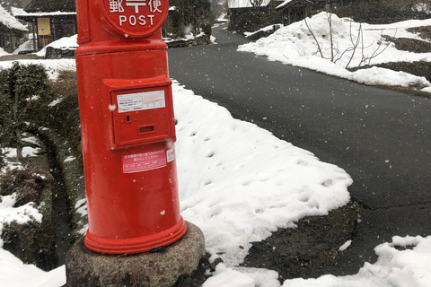 From Osaka: Amanohashidate, Ine Bay, and Miyama Day Trip From Osaka: Amanohashidate, Ine Bay, and Miyama Day Trip