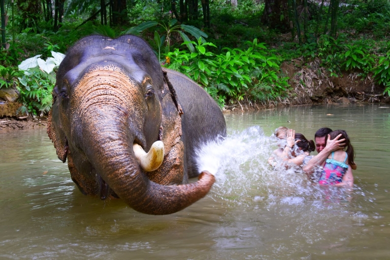 Khao Lak: Übernachtung am Cheow Lan See mit Elefanten-TagesbetreuungAbholung von Khaolak / Englischer Reiseführer