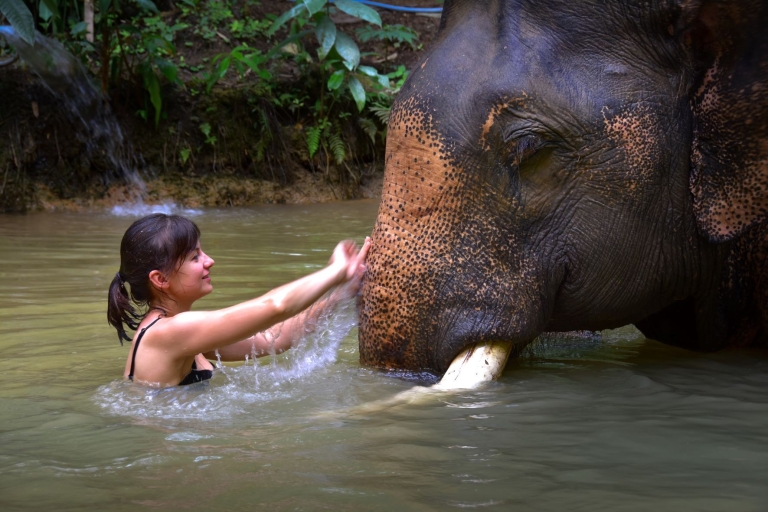 Khao Lak: Nocleg nad jeziorem Cheow Lan z całodniową opieką nad słoniamiOdbiór z Khaolak / przewodnik po angielsku