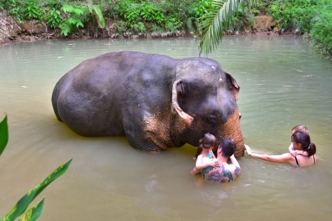 Khao Lak: Nocleg nad jeziorem Cheow Lan z całodniową opieką nad słoniamiOdbiór z Khaolak / przewodnik po angielsku