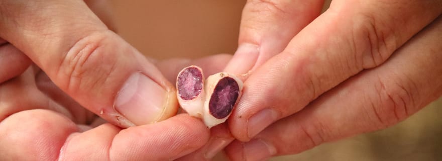 Diamante Eco Adventure Park : expérience culturelle costaricienne