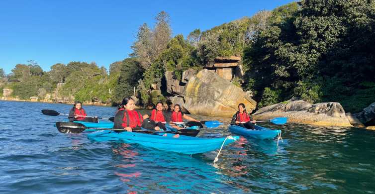 Sydney Guided Clearview Kayak Tour of Manly Cove Beaches