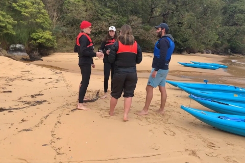 Sydney: begeleide Clearview-kajaktocht langs de stranden van Manly CoveSydney: Coffee Paddle Kayak Tour in Manly Cove