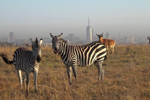 Nairobi: 4-dniowe jezioro Mara i safari Nakuru