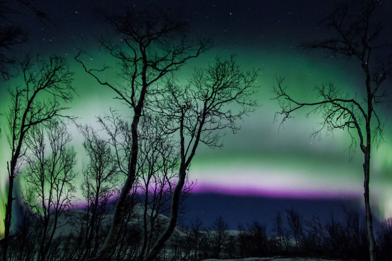 Tromsø : Chasse aux aurores boréales avec photos gratuites