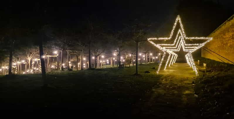 From Edinburgh: Alnwick Garden Magical Christmas Light Trail  GetYourGuide