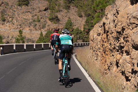 Desde Adeje: tour guiado en bicicleta de carretera por Vilaflor