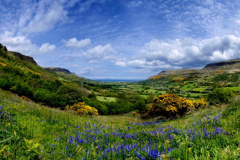 Från Belfast: Giant&#039;s Causeway och Titanic Belfast Tour