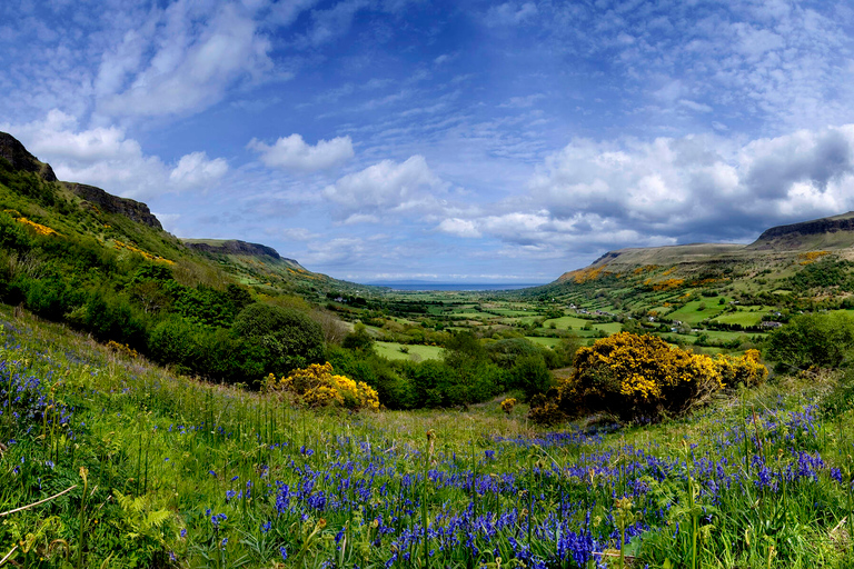 Vanuit Belfast: Giant's Causeway en Game of Thrones-tourGiant's Causeway, Bushmills Whisky & Game of Thrones-tour