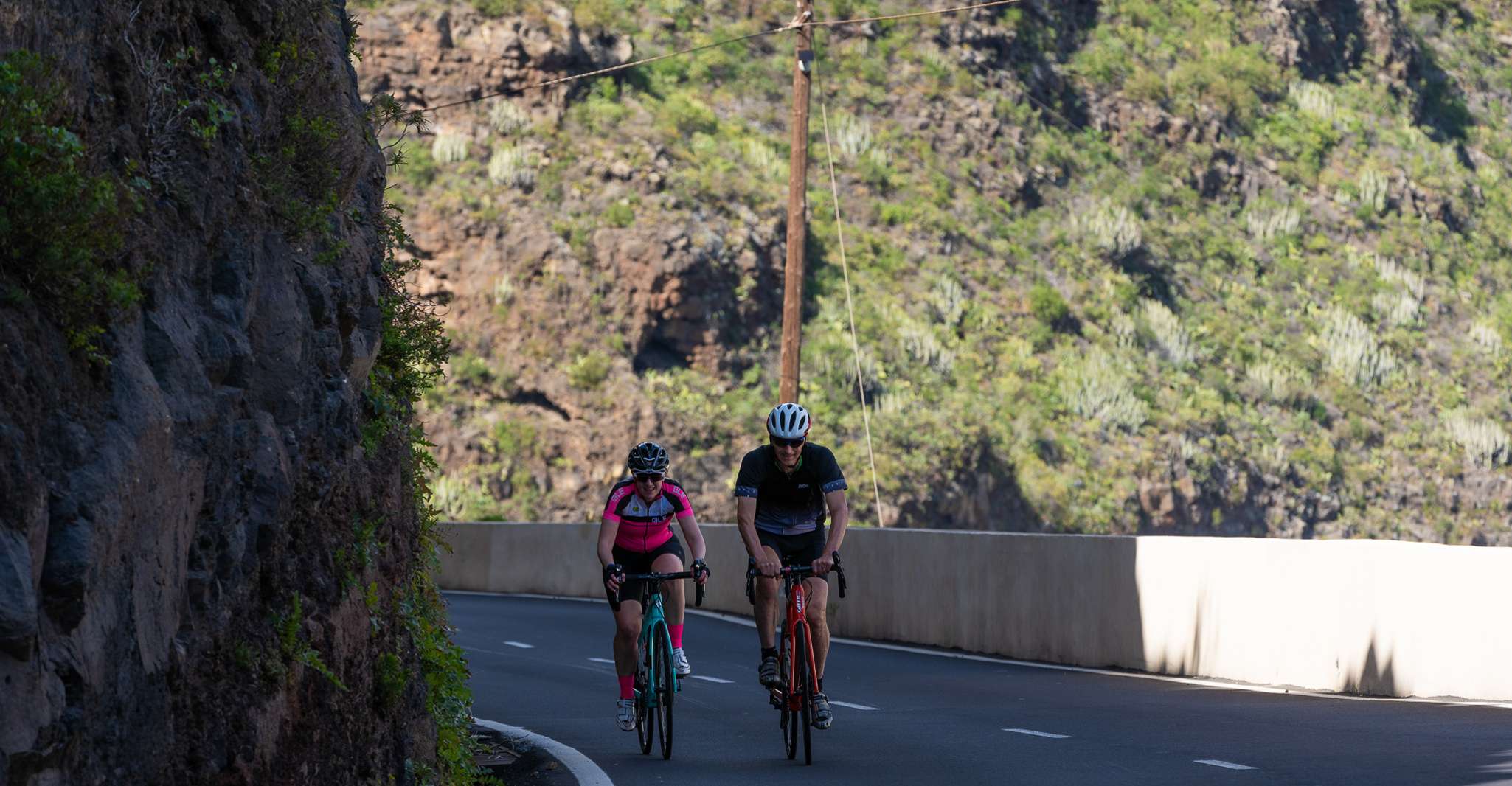 Tenerife, East Coast Cycling Tour - Housity