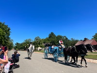 Colonial Williamsburg, Colonial History Guided Walking Tour - Housity