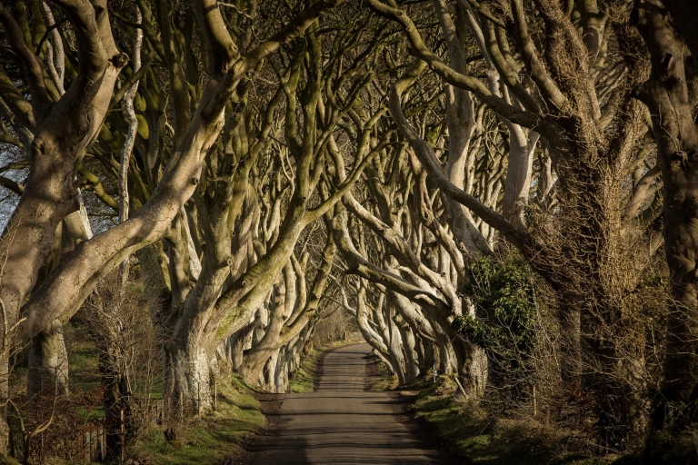 Z Dublina: Wycieczka śladami „Gry o tron” i Grobla Olbrzyma