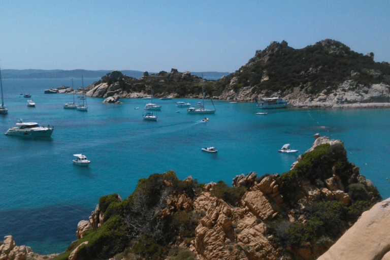 Da Santa Teresa Gallura: tour in motonave a La Maddalena From Santa Teresa Gallura
