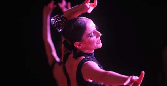 Puerto de la Cruz: Flamenco Show at Casa Ábaco with a Drink