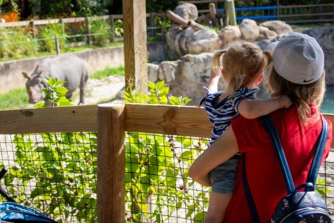 Orlando: Central Florida Zoo Skip-the-Line Ticket