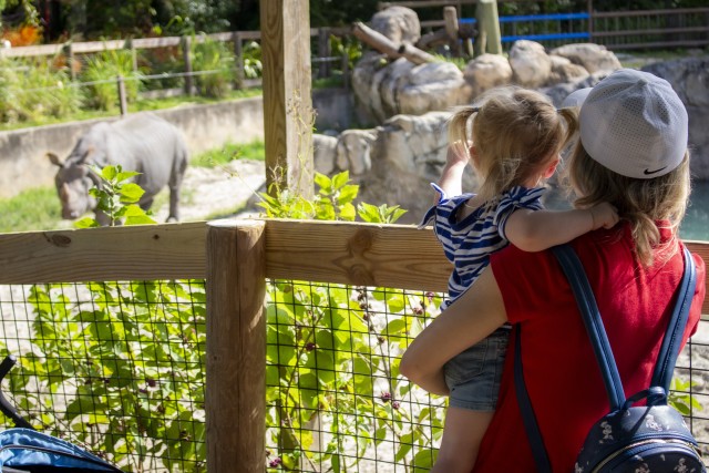 Visit Orlando Central Florida Zoo Skip-the-Line Ticket in Sanford, Florida, USA