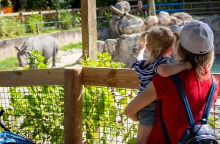 Orlando: Central Florida Zoo Ticket ohne Anstehen