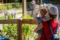Orlando, biglietto dello zoo della Florida centrale - Housity
