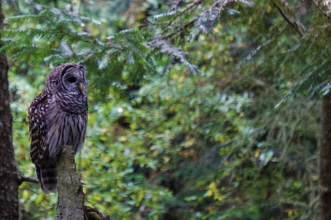 Seattle: Private Whidbey Island & Deception Pass Tour