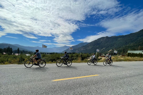 Leavenworth: Mountain Views Guided E-bike Tour