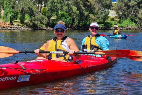 Perth: tour in kayak sul fiume Swan con cena e degustazione di vini
