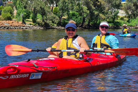 Perth: tour en kayak por el río Swan con cena y degustación de vinos