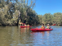Perth, Swan River Kayak Tour con cena e degustazione di vini - Hizvo
