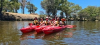 Perth, Swan River Kayak Tour con cena e degustazione di vini - Hizvo