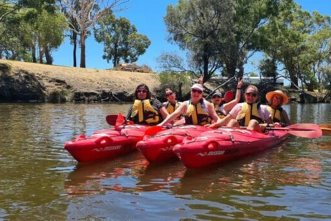 Perth: tour en kayak por el río Swan con cena y degustación de vinos