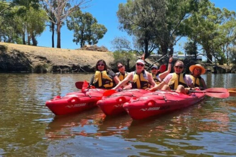 Perth: tour en kayak por el río Swan con cena y degustación de vinos