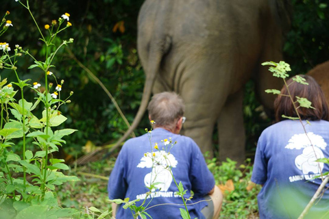 Koh Samui: Halvdags etisk elefantreservat med lera-spaMötesplats vid Samui Elephant Spa (ingen transfer från hotellet)