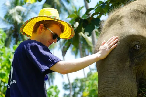 Koh Samui: Half-Day Ethical Elephant Sanctuary with Mud Spa