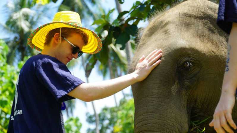 Koh Samui: pusės dienos etiška dramblių prieglauda su purvo SPA
