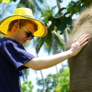 Koh Samui: Half-Day Ethical Elephant Sanctuary with Mud Spa Koh Samui: Half-Day Ethical Elephant Sanctuary with Mud Spa
