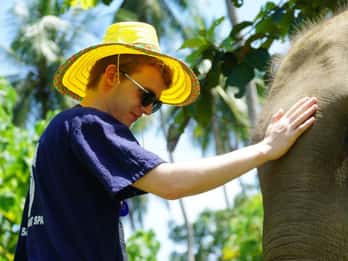 Koh Samui: Half-Day Ethical Elephant Sanctuary with Mud Spa