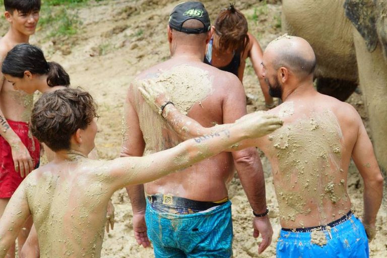 Koh Samui: Halvdags etisk elefantreservat med lera-spaMötesplats vid Samui Elephant Spa (ingen transfer från hotellet)