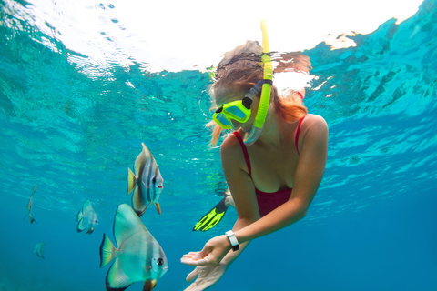 Cancun: Jungle Tour Adventure with Speedboat and Snorkeling Jungle Tour for 1