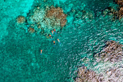 Cancun: Jungle Tour Adventure with Speedboat and Snorkeling Jungle Tour for 1