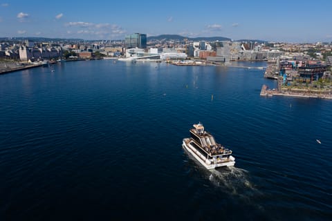 Oslo: Guided Oslo Fjord Cruise by Silent Electric Catamaran