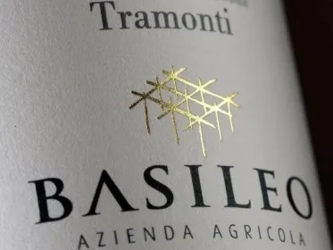 Tramonti: Besichtigung des Weinguts Basileo mit Weinverkostung